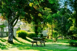 Riverbend Caravan Park