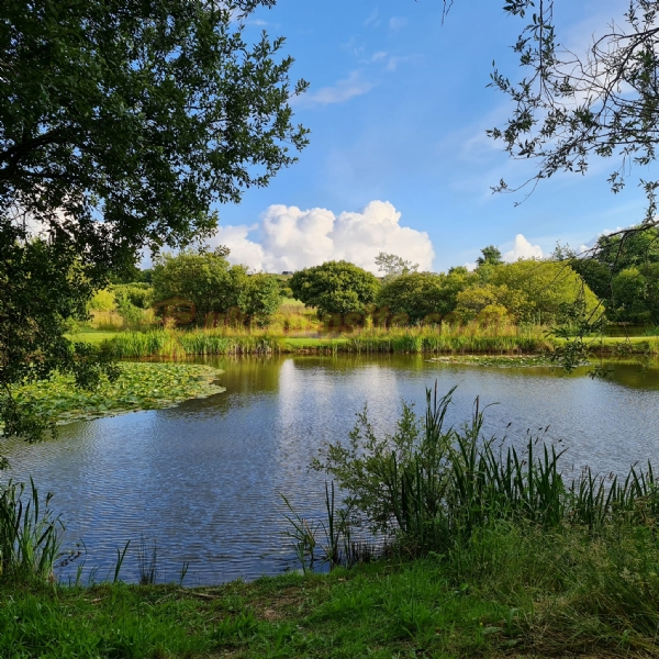 Perran Springs Holiday Park