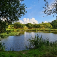 Perran Springs Holiday Park