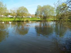 Broadmeadow Caravan Park