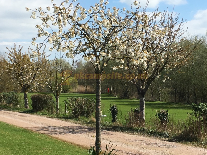 Broadmeadow Caravan Park