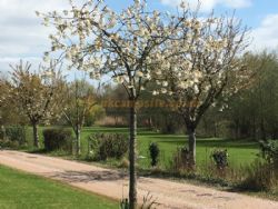 Broadmeadow Caravan Park