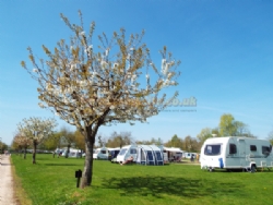 Broadmeadow Caravan Park
