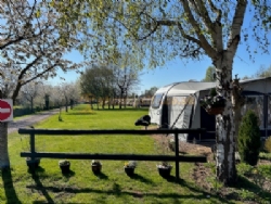Broadmeadow Caravan Park