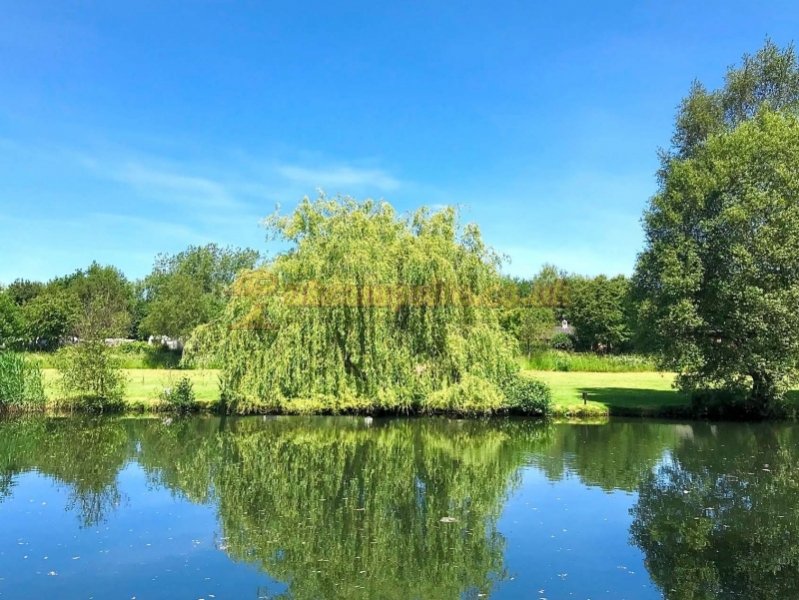 Broadmeadow Caravan Park