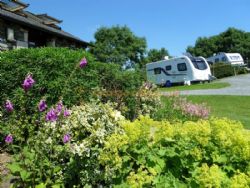 Ashes Exclusively Adult Caravan Park