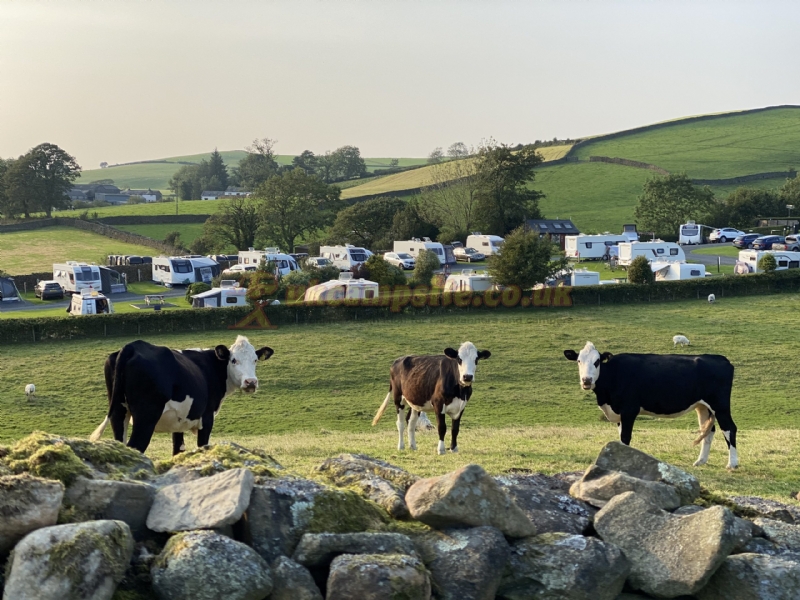 Ashes Exclusively Adult Caravan Park