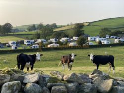 Ashes Exclusively Adult Caravan Park