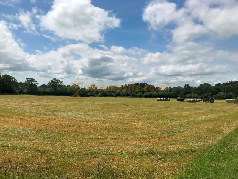 Holly Bush Park