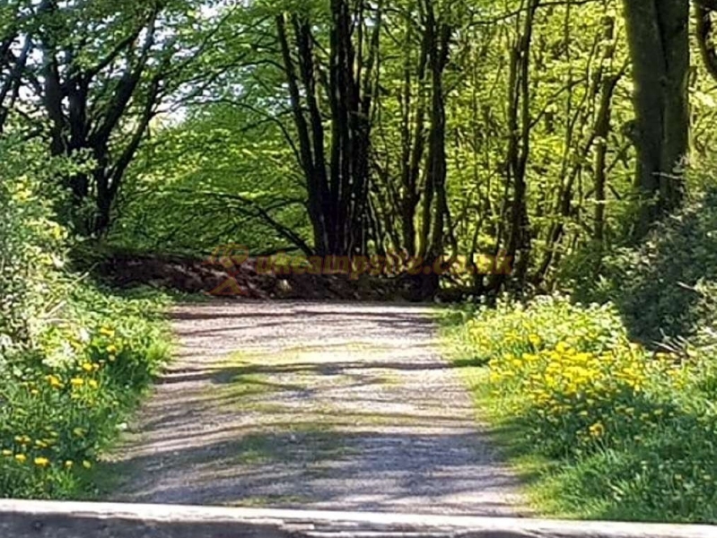 Holly Bush Park