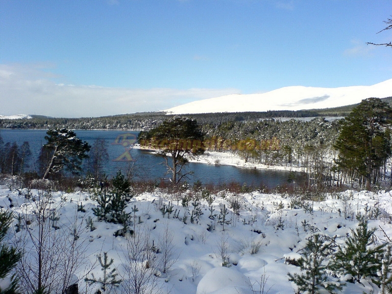 Glenmore Campsite