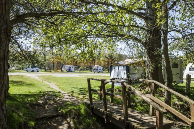 Glenmore Campsite