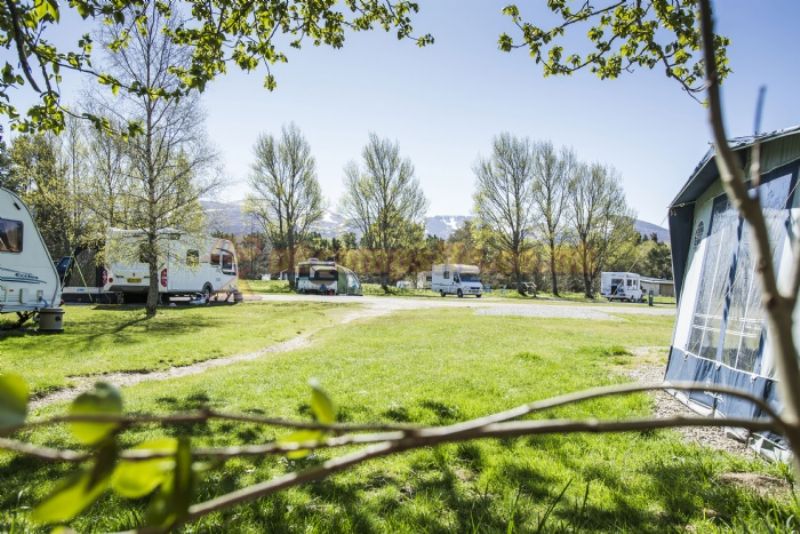 Glenmore Campsite