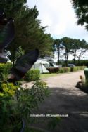Wheal Rodney Holiday Park