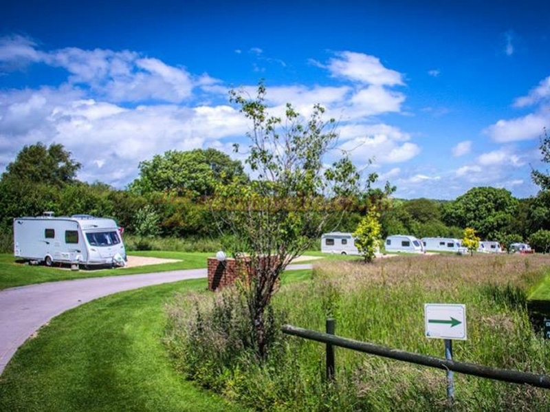 Monkton Wyld Farm Caravan And Camping Park