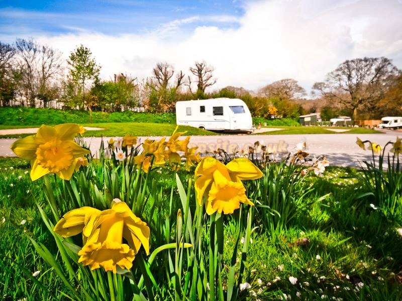 Monkton Wyld Farm Caravan And Camping Park