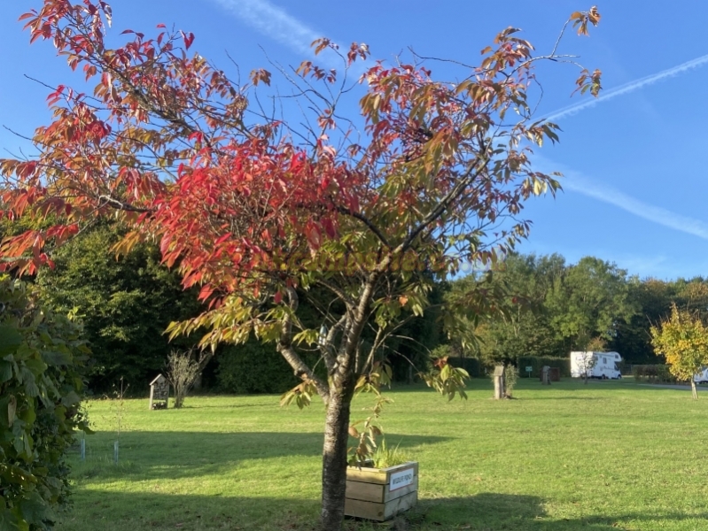 Monkton Wyld Farm Caravan And Camping Park