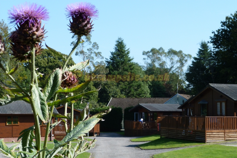 Eden Valley Holiday Park
