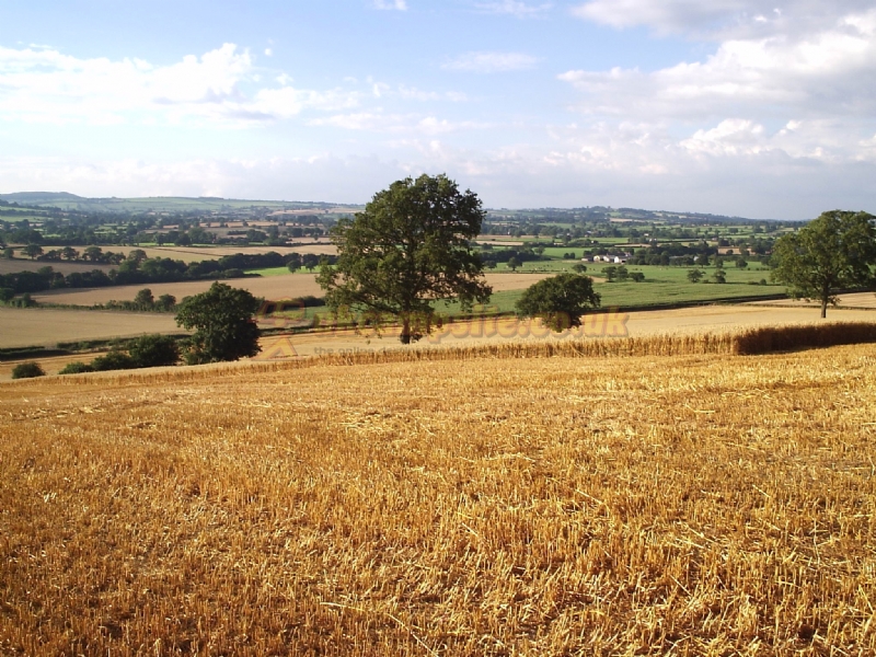 The Coates Farm Campsite