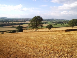 The Coates Farm Campsite