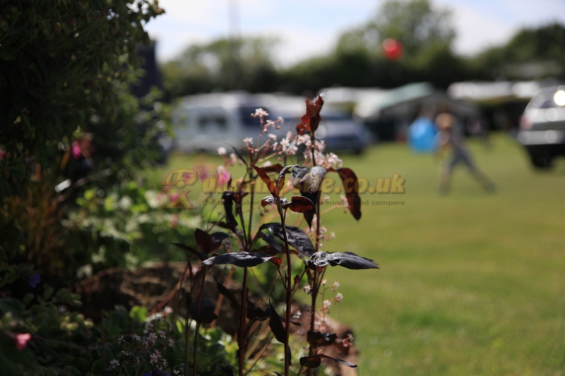 Pelerine Caravan And Camping Site