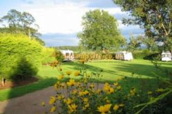 Pelerine Caravan And Camping Site