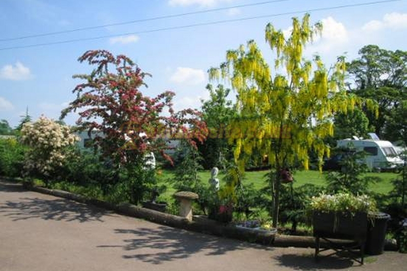 Pelerine Caravan And Camping Site