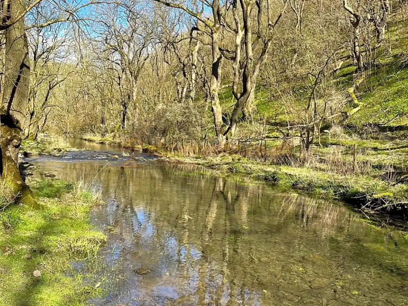 Haddon Grove Farm Camp Site