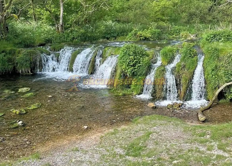 Haddon Grove Farm Camp Site