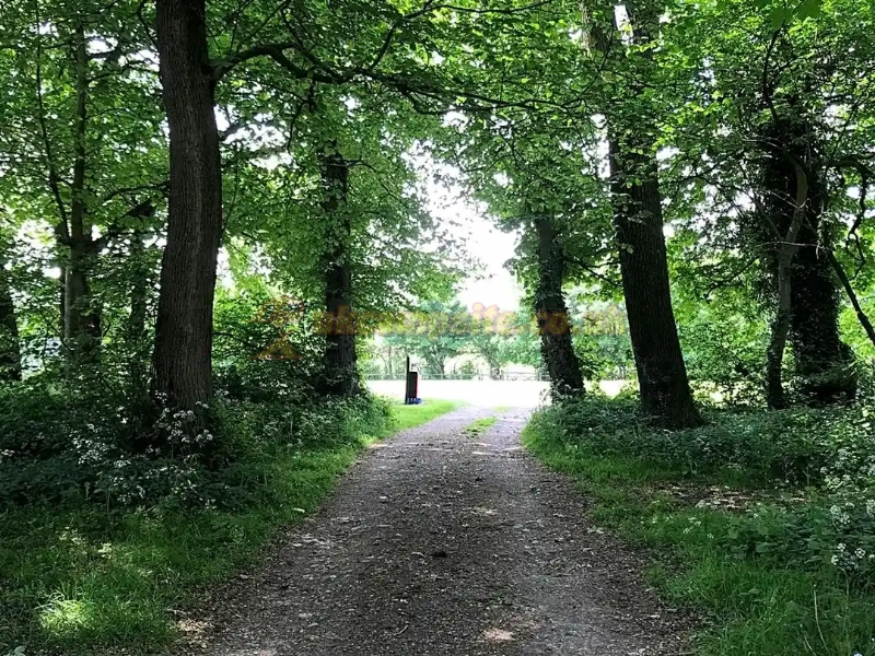 Haddon Grove Farm Camp Site