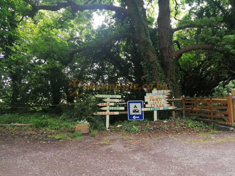 Brook Lodge Farm Camping And Caravan Park