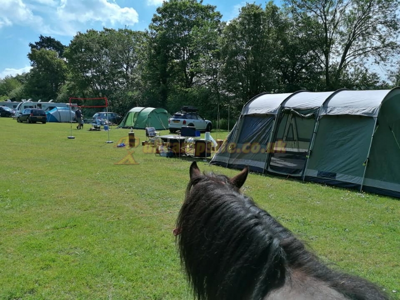 Brook Lodge Farm Camping And Caravan Park