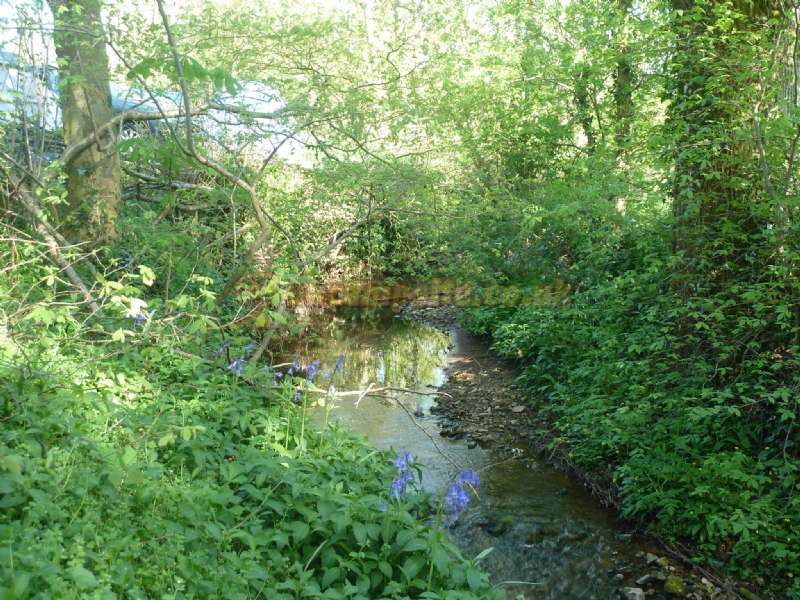Brook Lodge Farm Camping And Caravan Park
