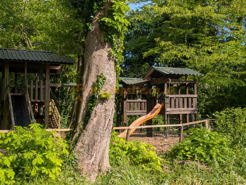 Brook Lodge Farm Camping And Caravan Park