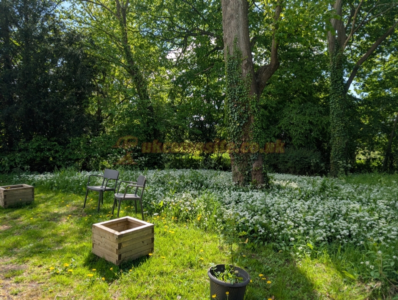 Brook Lodge Farm Camping And Caravan Park
