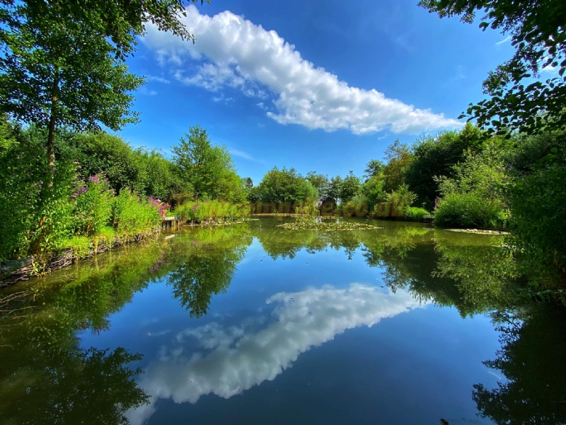 The Old Oaks Touring Park ( Adults Only)