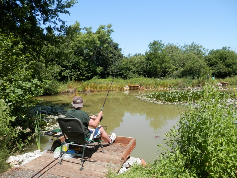 The Old Oaks Touring Park ( Adults Only)