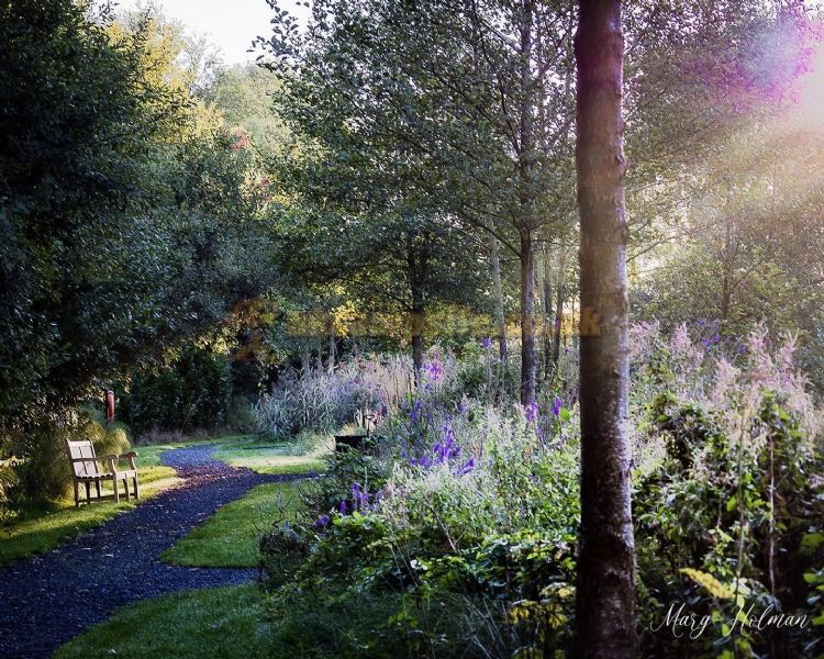 The Old Oaks Touring Park ( Adults Only)
