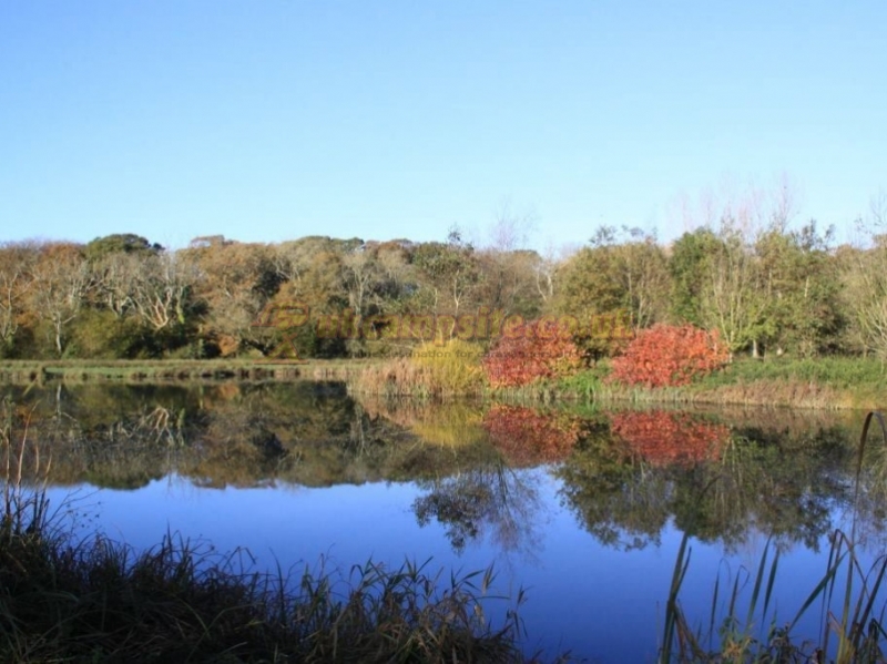 Rosewall Camping Riding And Lakes