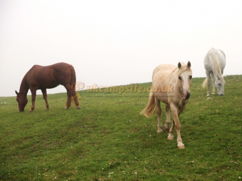 Rosewall Camping Riding And Lakes