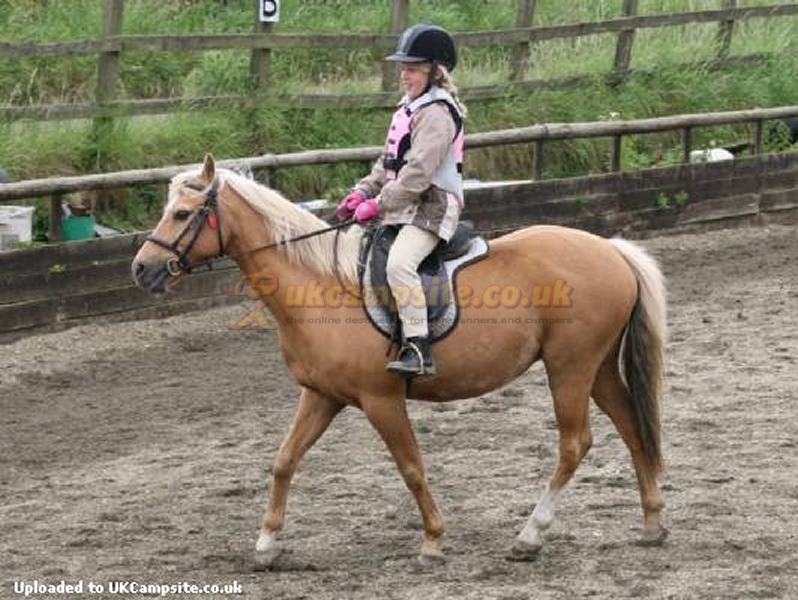 Rosewall Camping Riding And Lakes