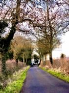 Bilton Park Camping And Caravan Site