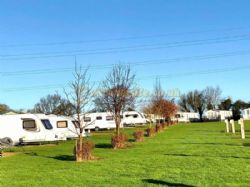 Bilton Park Camping And Caravan Site