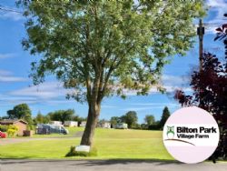 Bilton Park Camping And Caravan Site