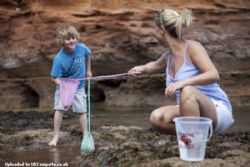Ladram Bay Holiday Park