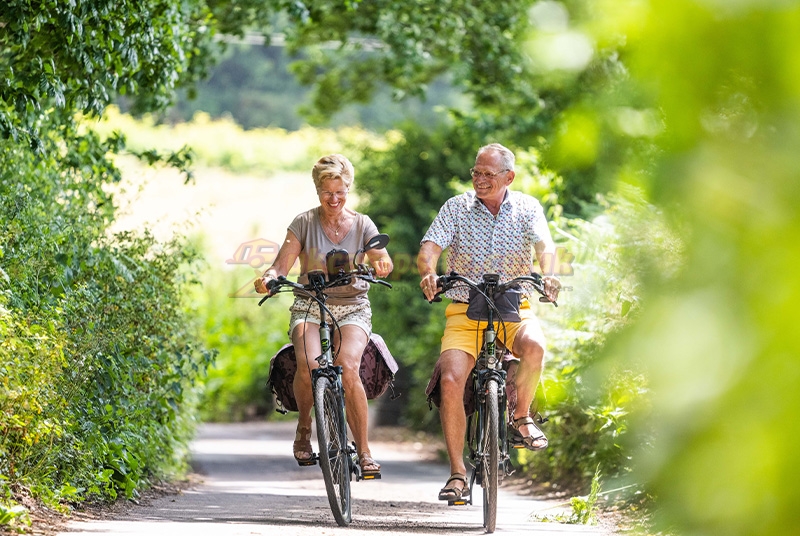Cofton Country Holidays