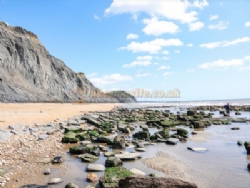 Wood Farm Holiday Park (PHolsUK)