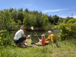 Wood Farm Holiday Park (PHolsUK)