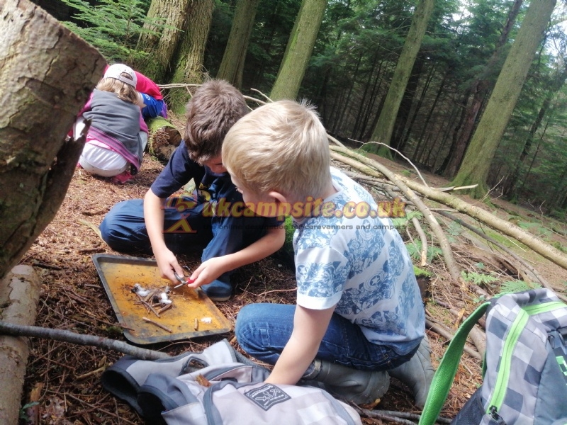 Beddgelert Campsite