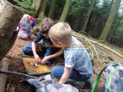 Beddgelert Campsite